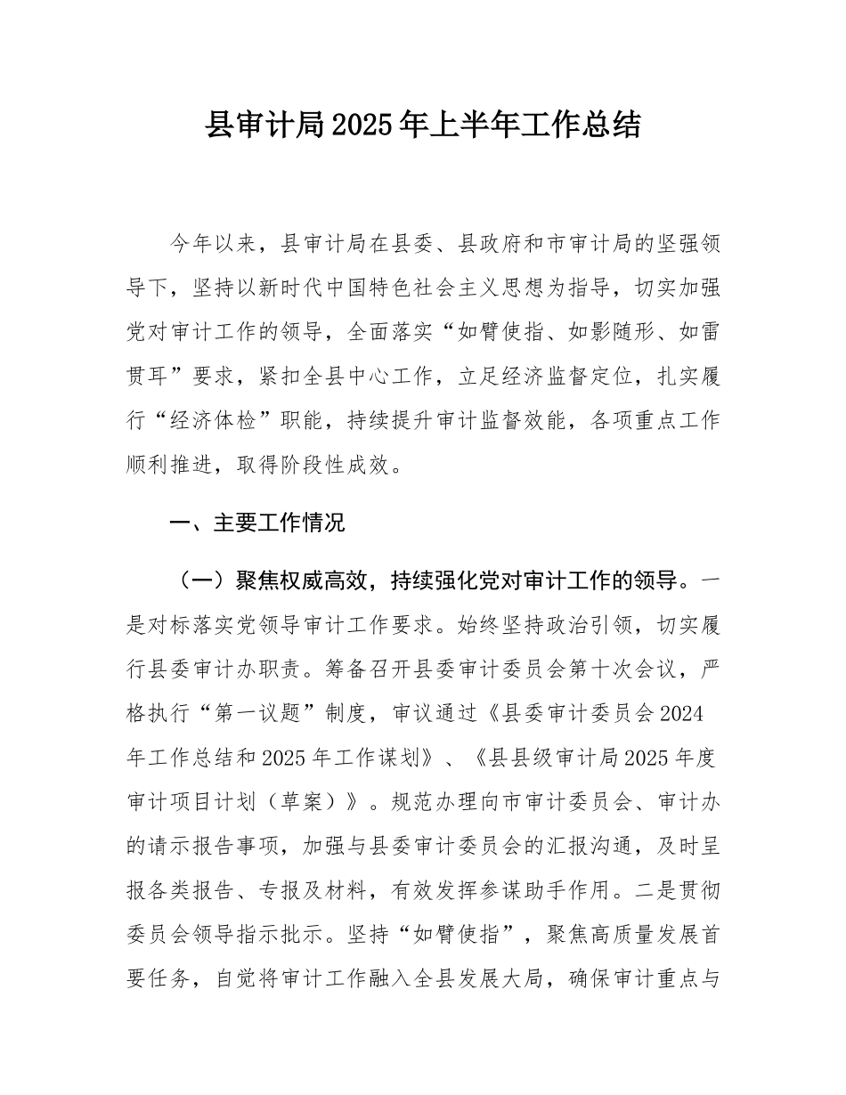 县审计局2025年上半年工作总结.docx_第1页