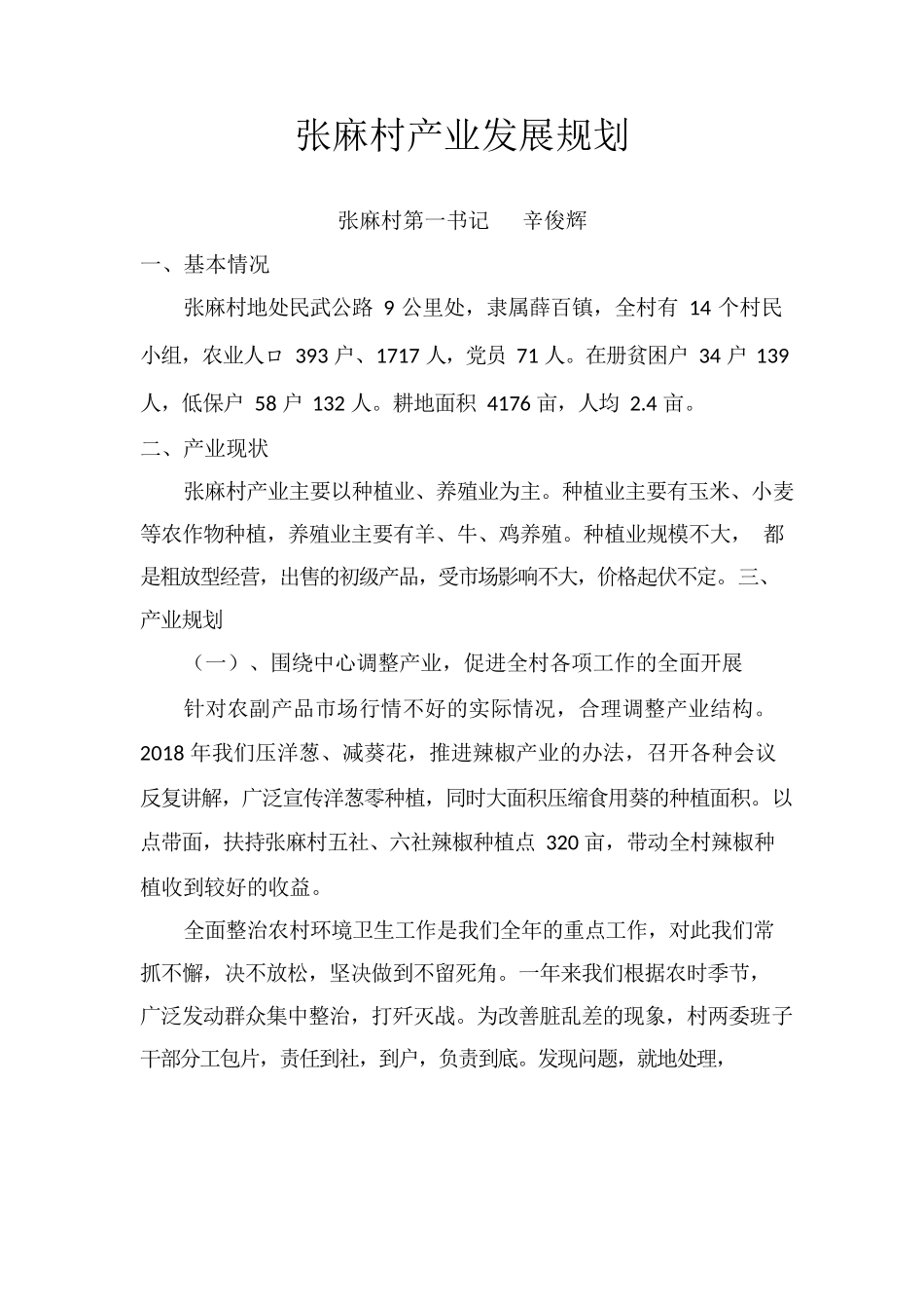 张麻村产业发展规划.docx_第1页