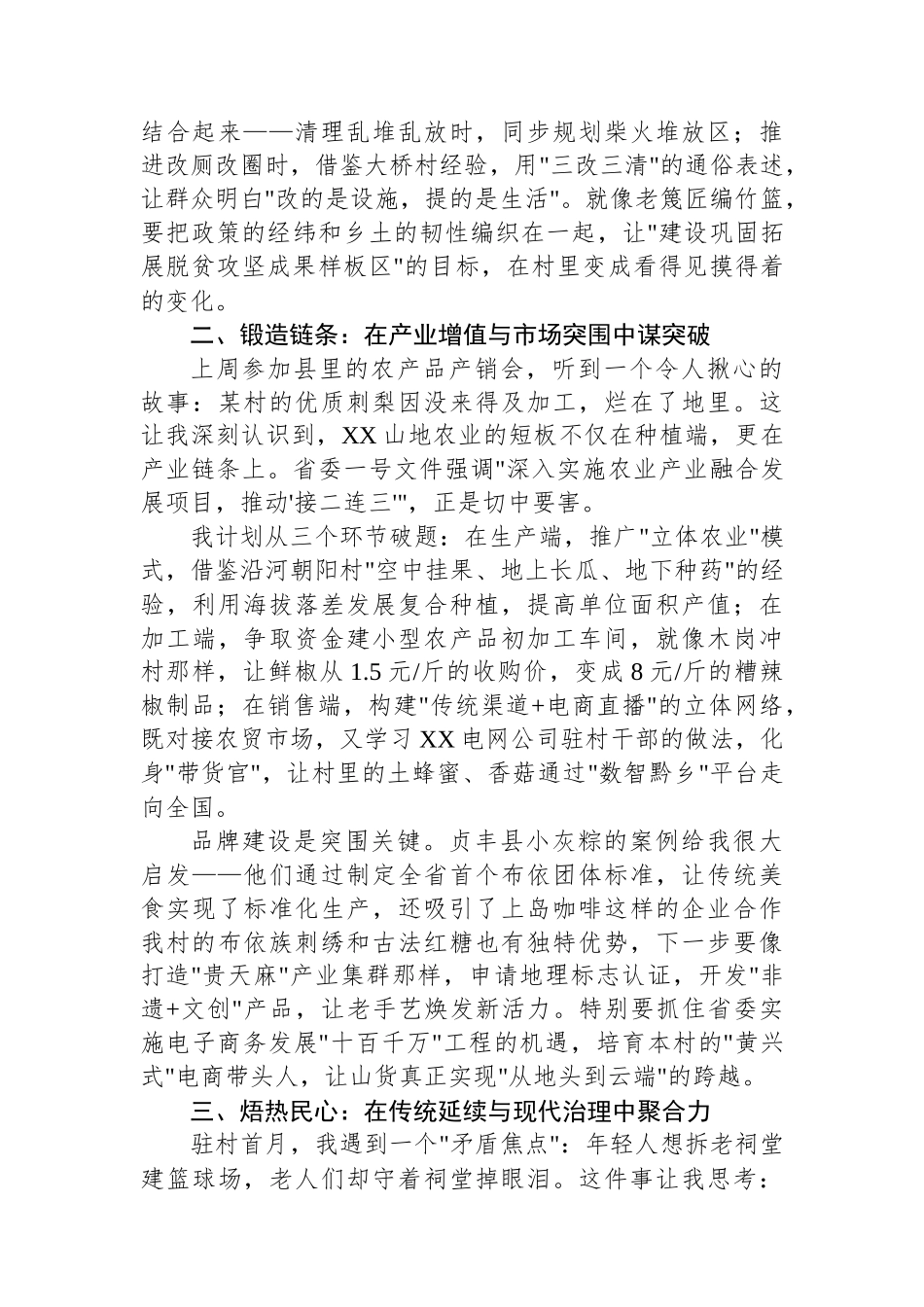 2025年新任驻村第一书记座谈会发言稿.docx_第2页