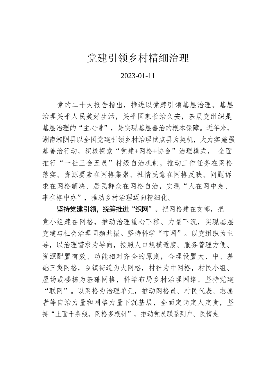 党建引领乡村精细治理.docx_第1页