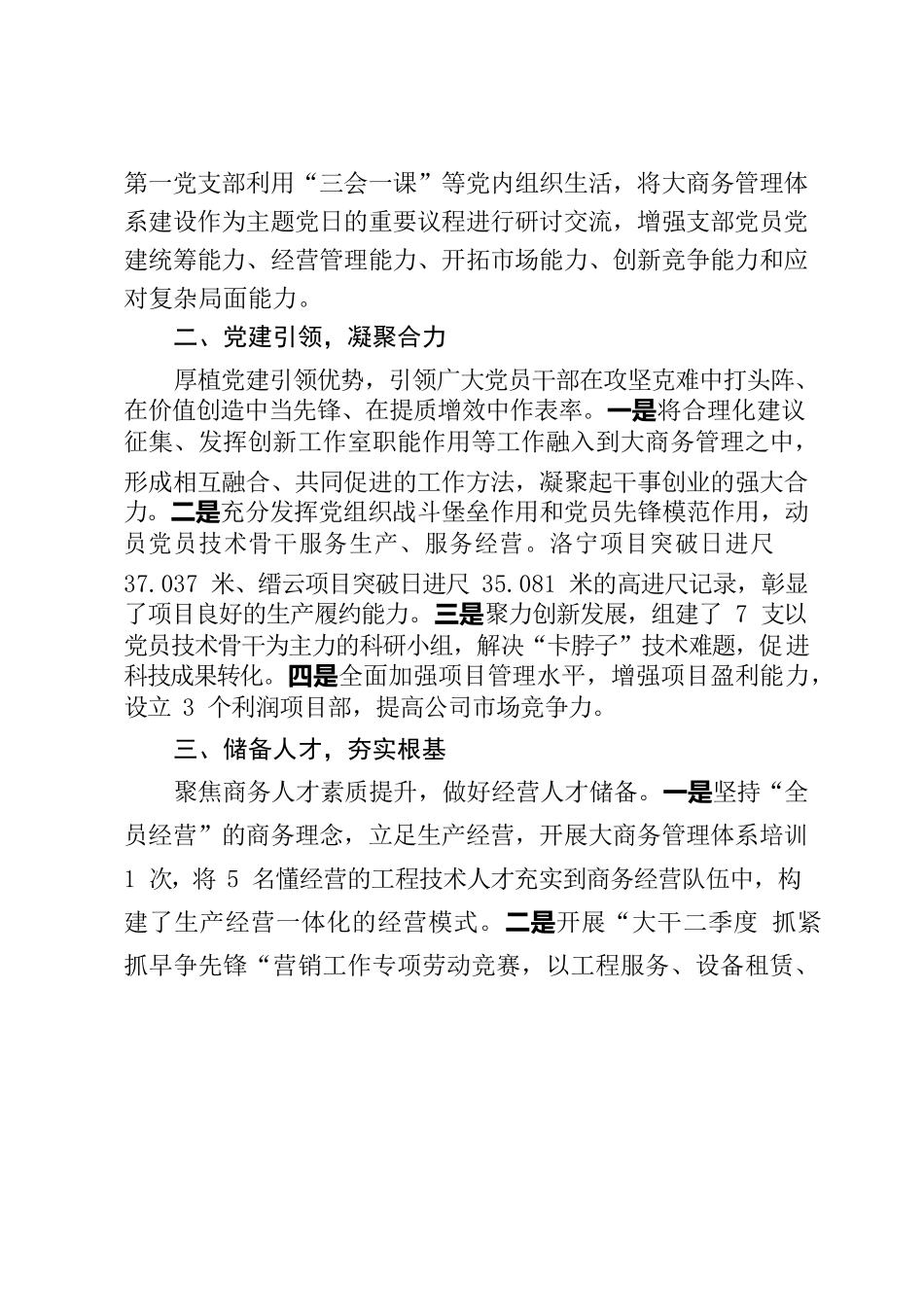聚焦价值创造，全面加强大商务管理能力-技服公司.docx_第2页
