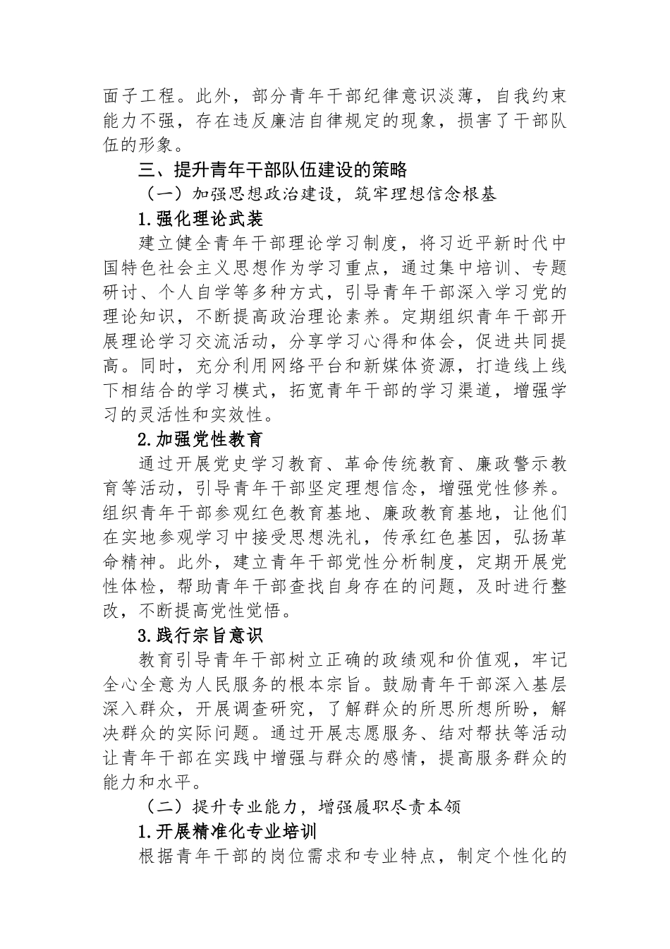 关于提升青年干部队伍建设的思考与实践.docx_第3页