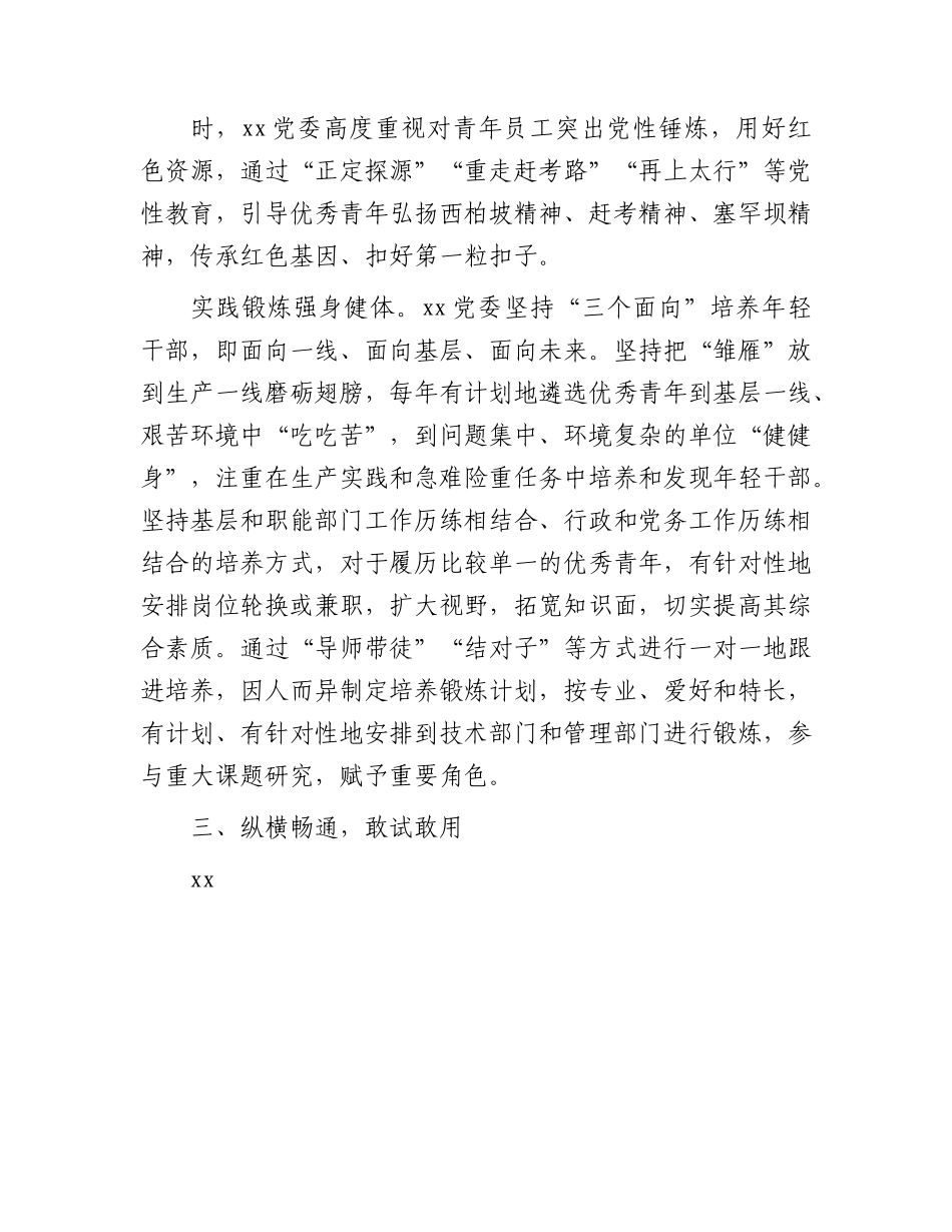 国企公司党建经验交流：“选育用管”全链条发力 为年轻干部打造成长矩阵.docx_第3页