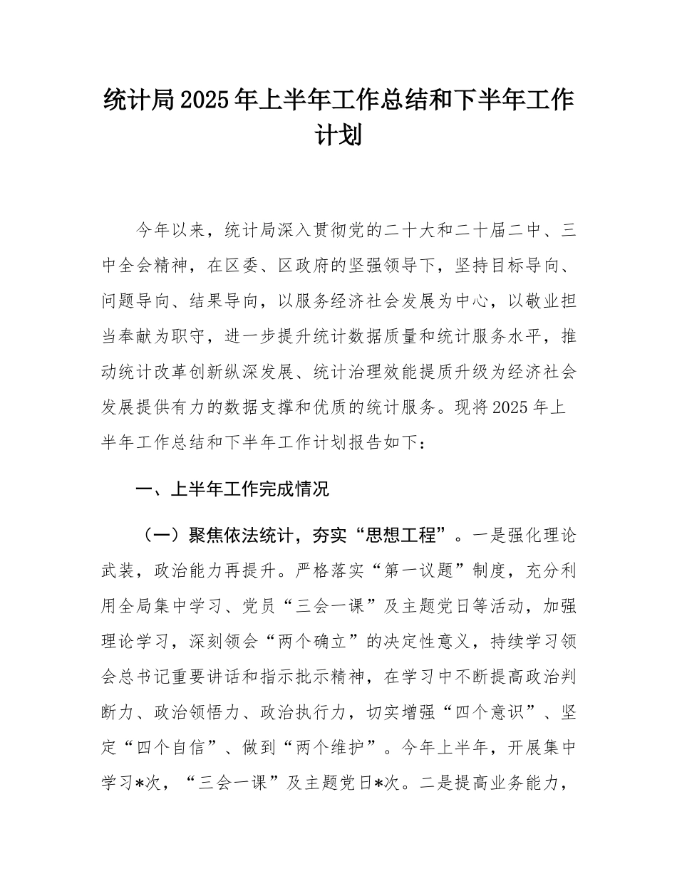 统计局2025年上半年工作总结和下半年工作计划.docx_第1页