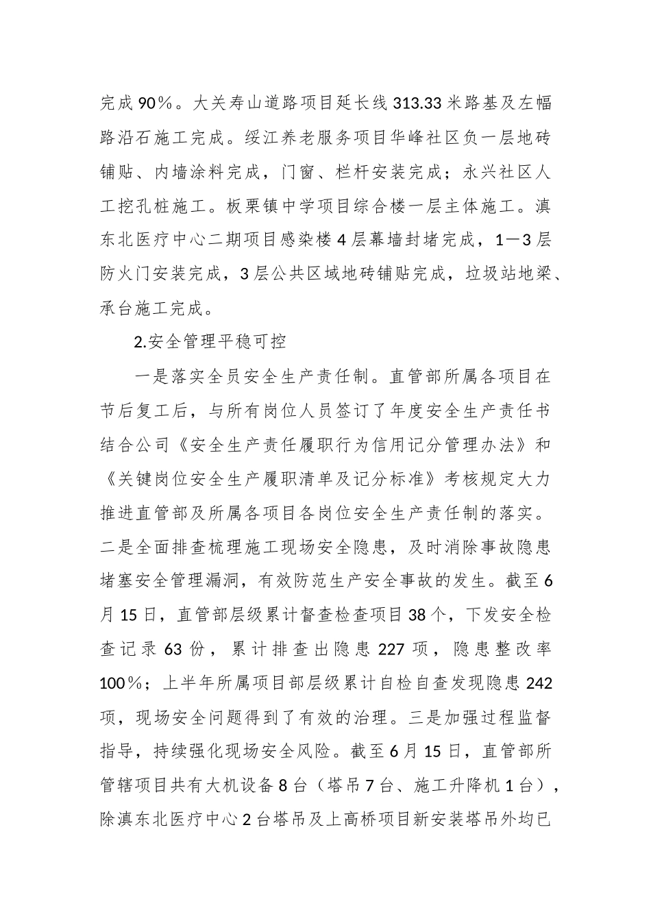 2025年上半年工作总结及下半年工作计划.docx_第2页
