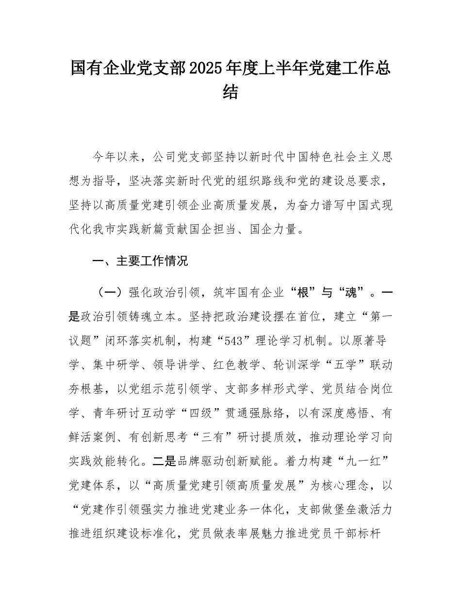 国有企业党支部2025年度上半年党建工作总结.docx_第1页