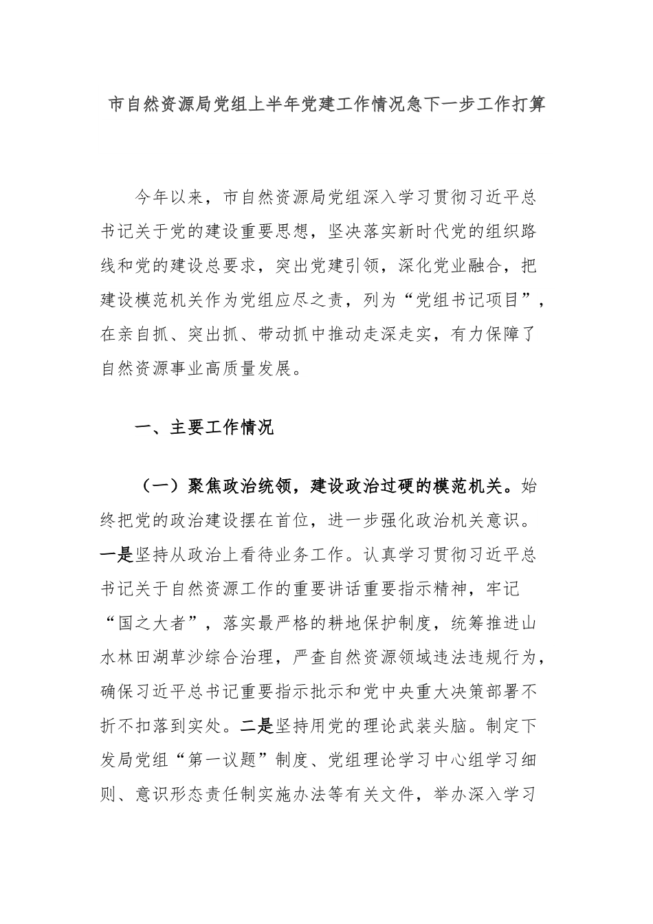 市自然资源局党组上半年党建工作情况及下一步工作打算.docx_第1页