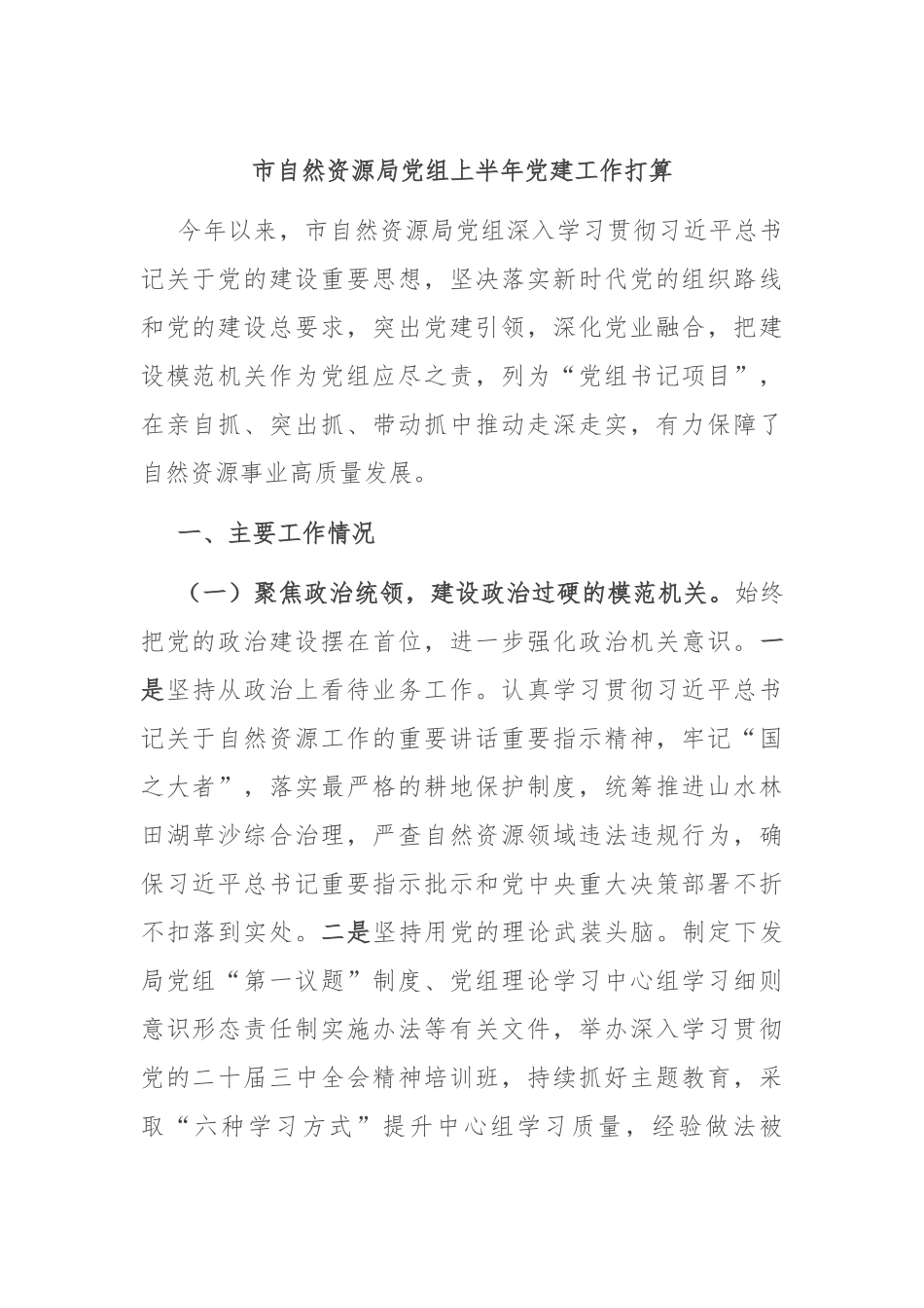 市自然资源局党组上半年党建工作打算.docx_第1页