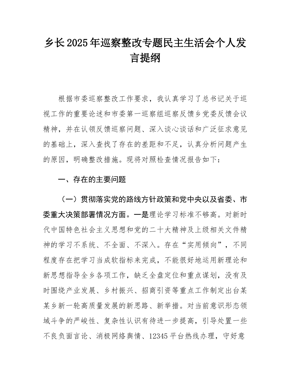 乡长2025年巡察整改专题民主SH会个人发言提纲.docx_第1页