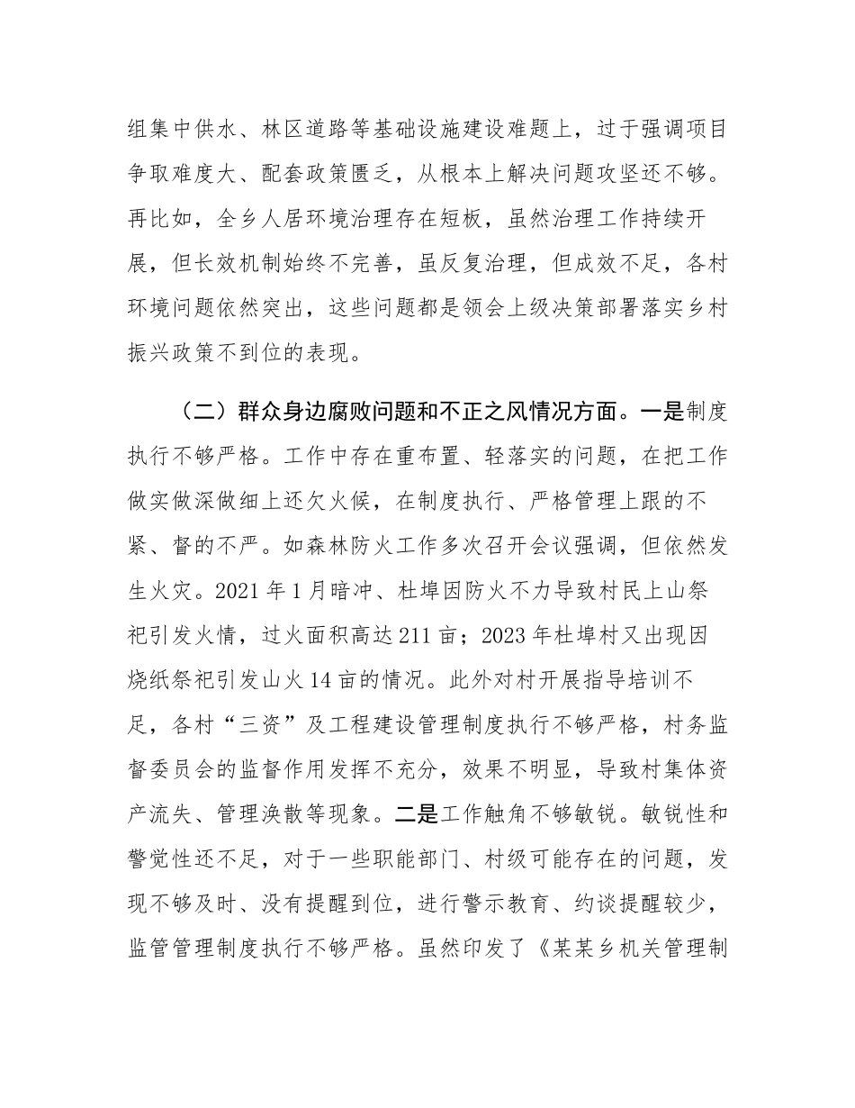 乡长2025年巡察整改专题民主SH会个人发言提纲.docx_第3页