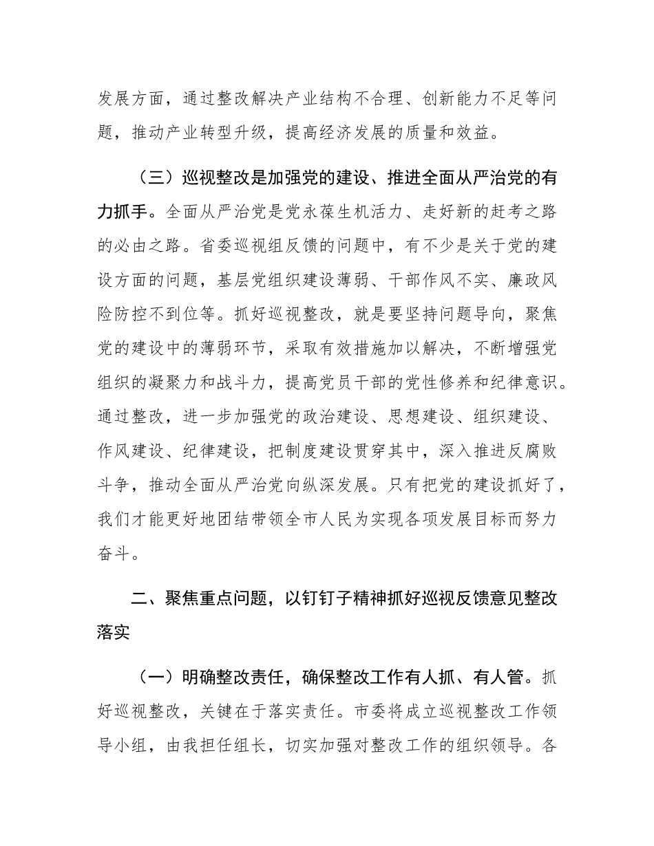市委书记在落实省委巡视组反馈意见整改工作动员会上的讲话.docx_第3页