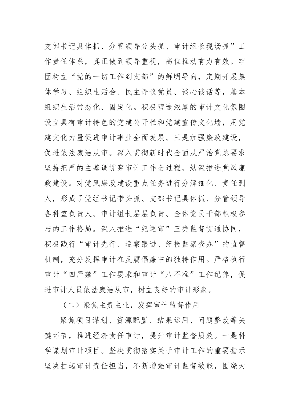 审计局2025年上半年工作总结及2025年下半年工作计划.docx_第2页
