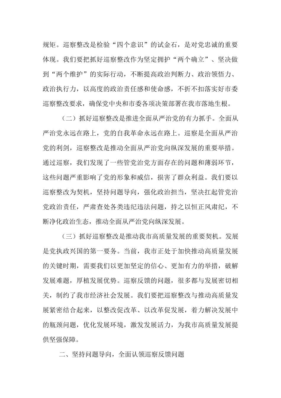 在2025年市委巡查反馈意见整改动员会上的讲话.docx_第2页