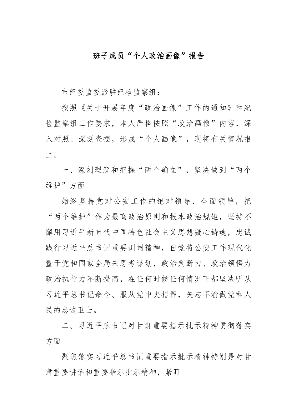 班子成员“个人政治画像”报告.docx_第1页