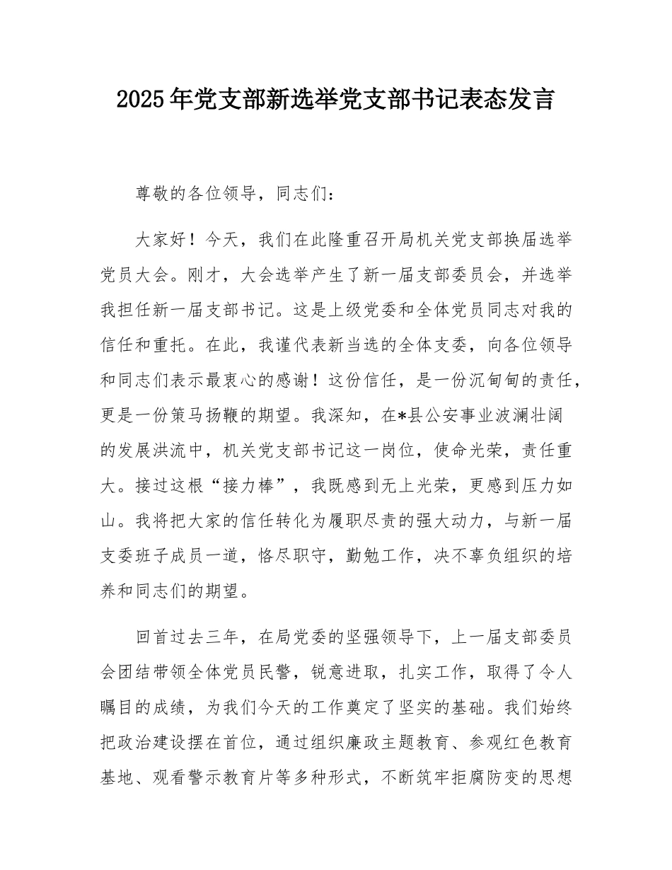 2025年党支部新选举党支部书记表态发言.docx_第1页
