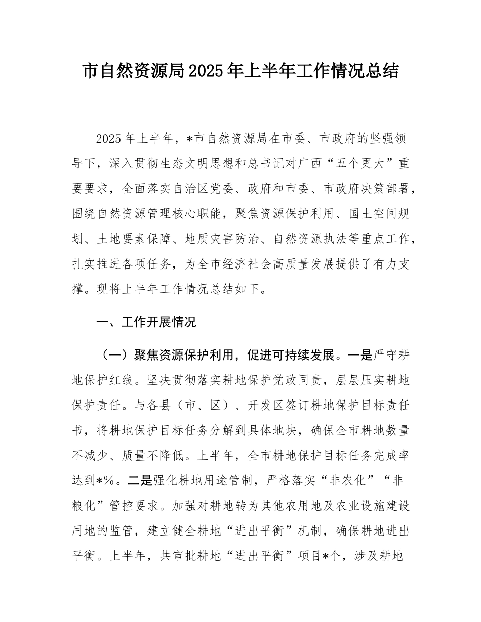 市自然资源局2025年上半年工作情况总结.docx_第1页