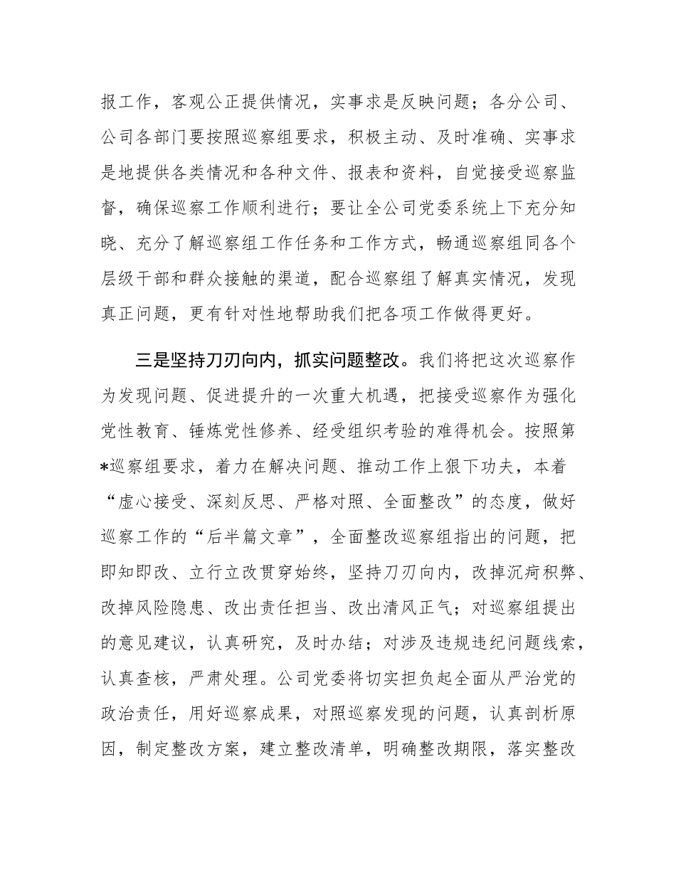 党委书记在集团党委巡察组动员会上的表态发言.docx_第3页