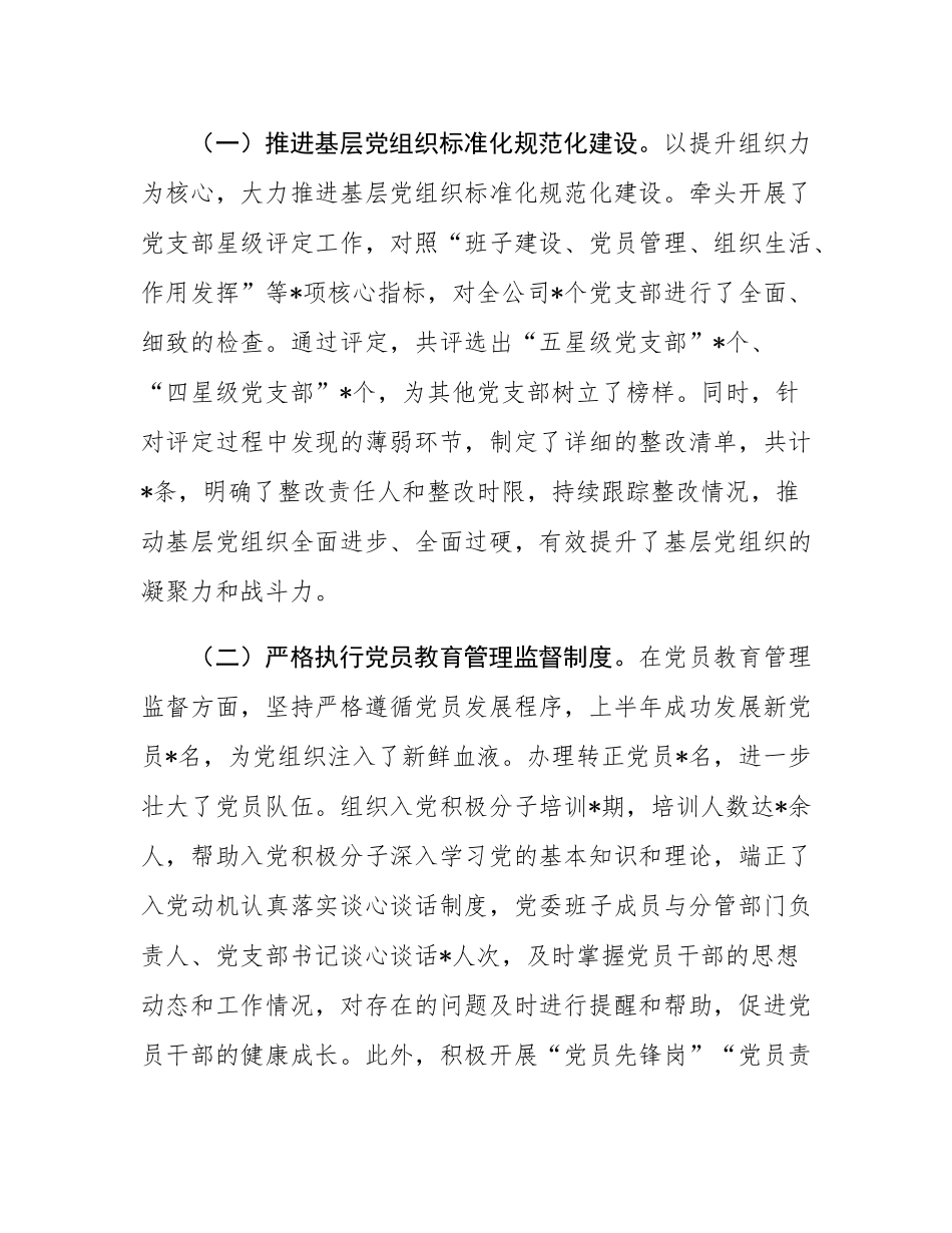 国企党办主任2025年上半年个人工作总结.docx_第3页