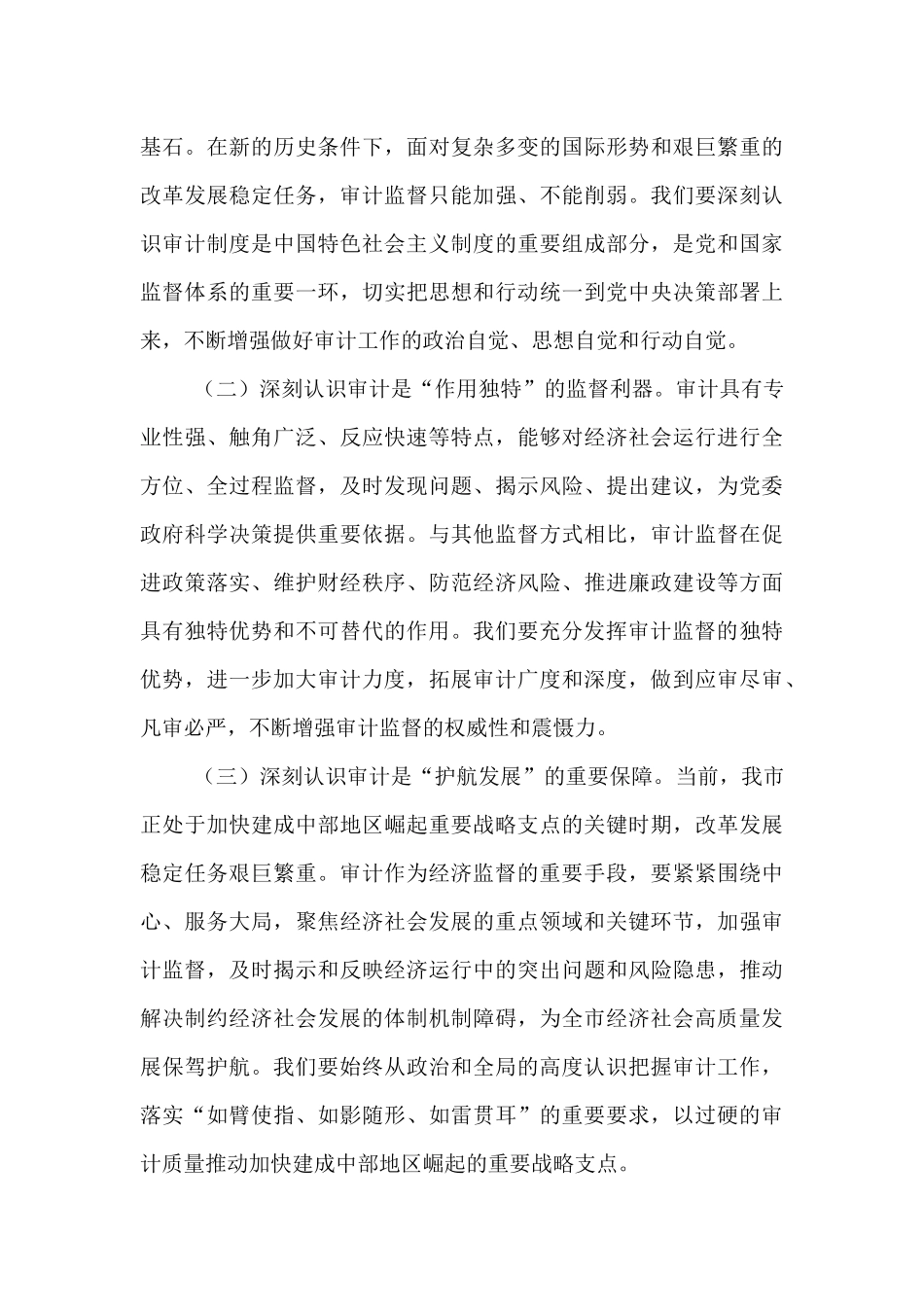 书记在2025年十二届市委审计委员会第七次会议上的讲话.docx_第3页