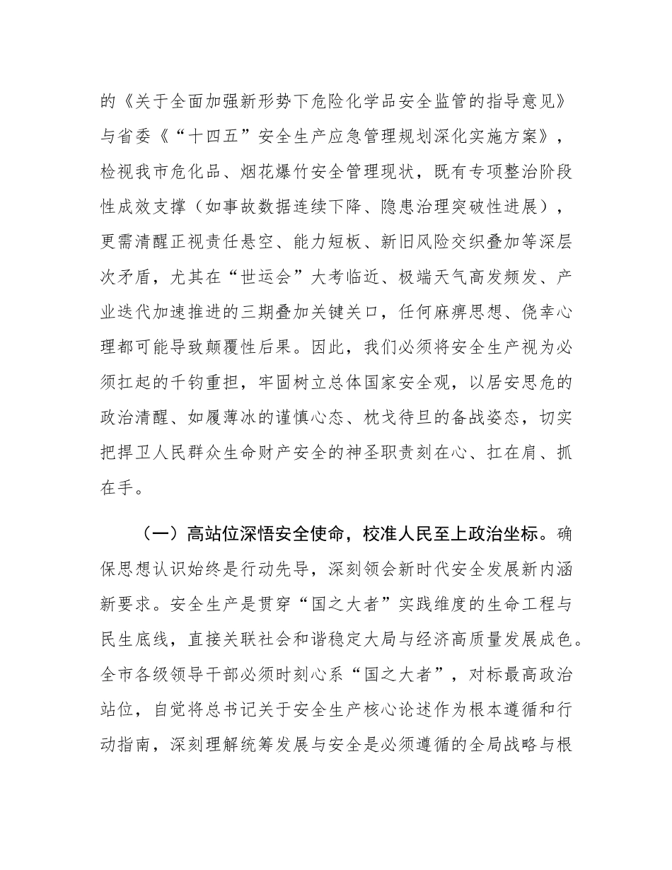 在全市危险化学品和烟花爆竹安全生产专委会会议上的讲话.docx_第2页