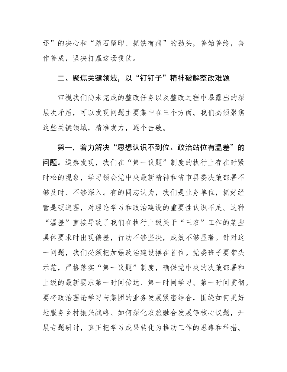 在2025年农旅集团党委巡察整改工作推进会上的讲话.docx_第3页