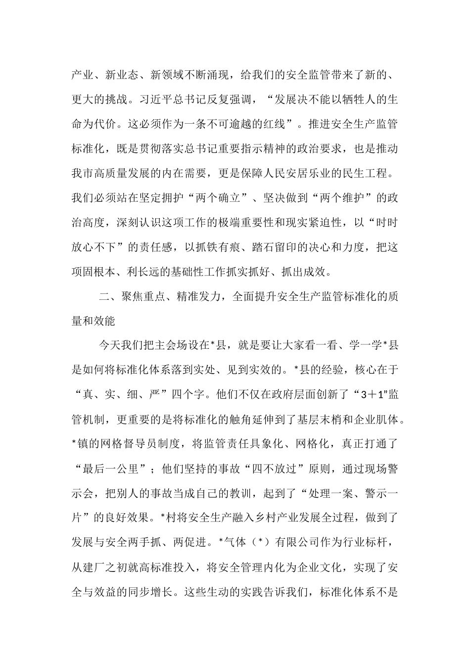 在2025年全市安全生产监管标准化工作体系现场视频推进会上的讲话.docx_第3页