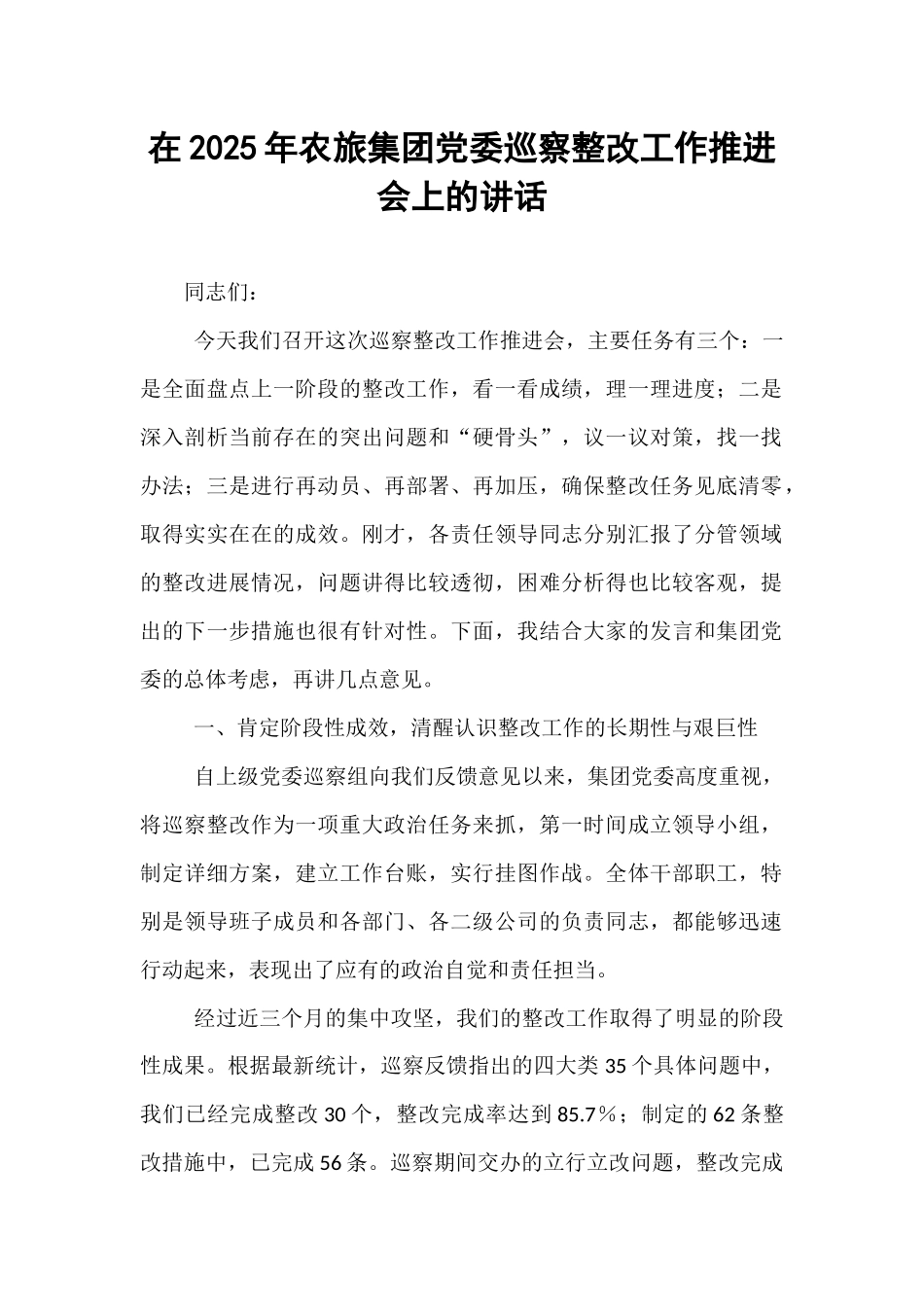在2025年农旅集团党委巡察整改工作推进会上的讲话.docx_第1页