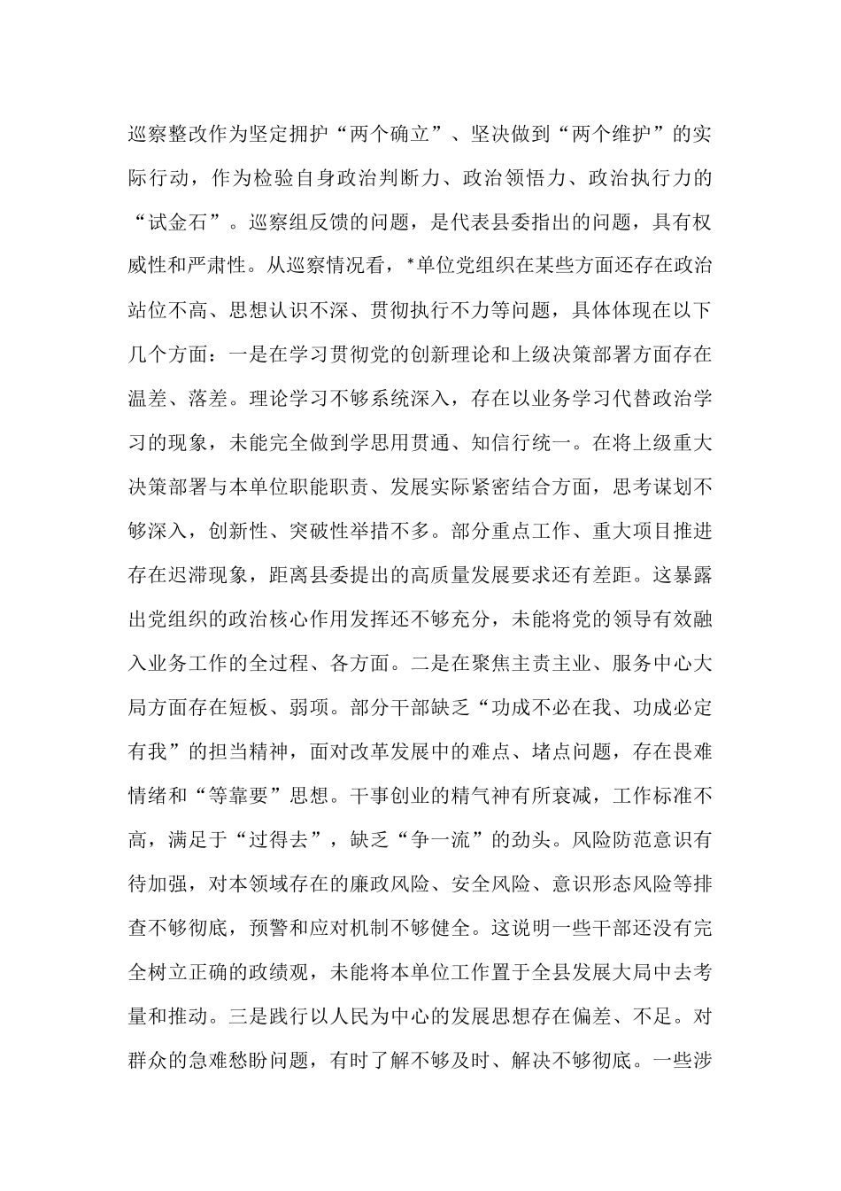 在2025年县委巡察党组织反馈会议上的讲话.docx_第2页