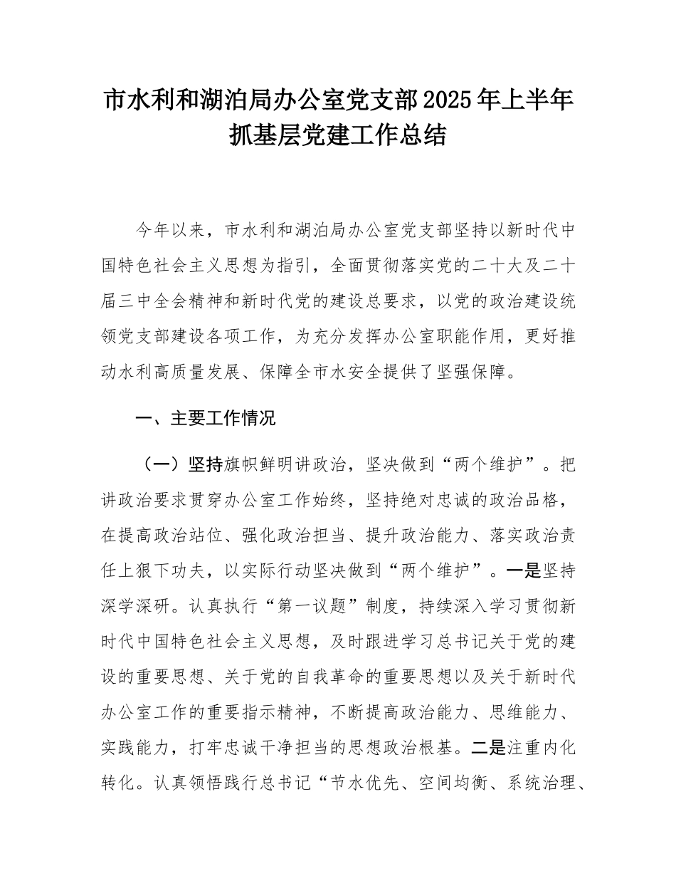 市水利和湖泊局办公室党支部2025年上半年抓基层党建工作总结.docx_第1页