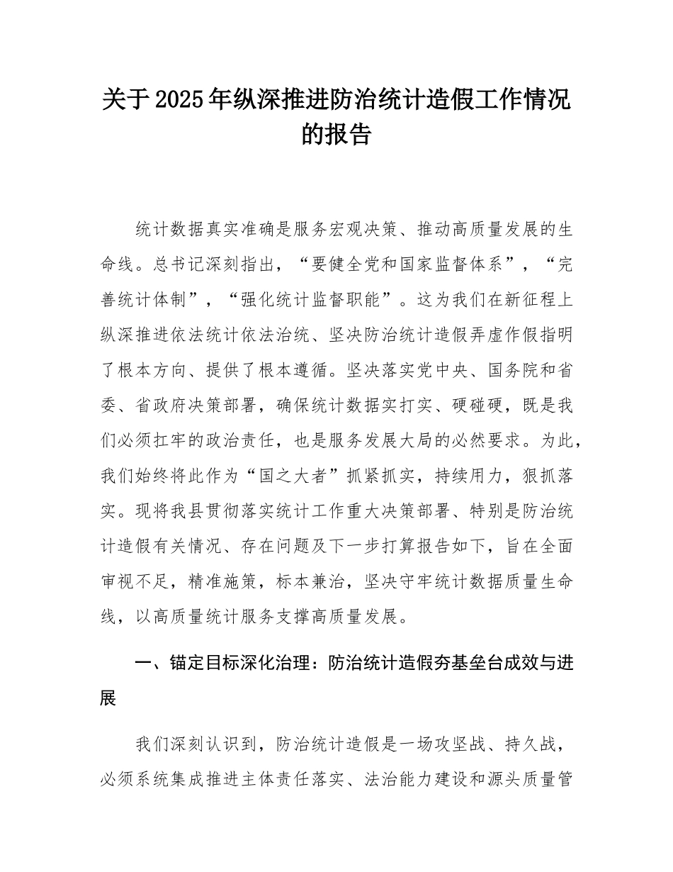关于2025年纵深推进防治统计造假工作情况的报告.docx_第1页