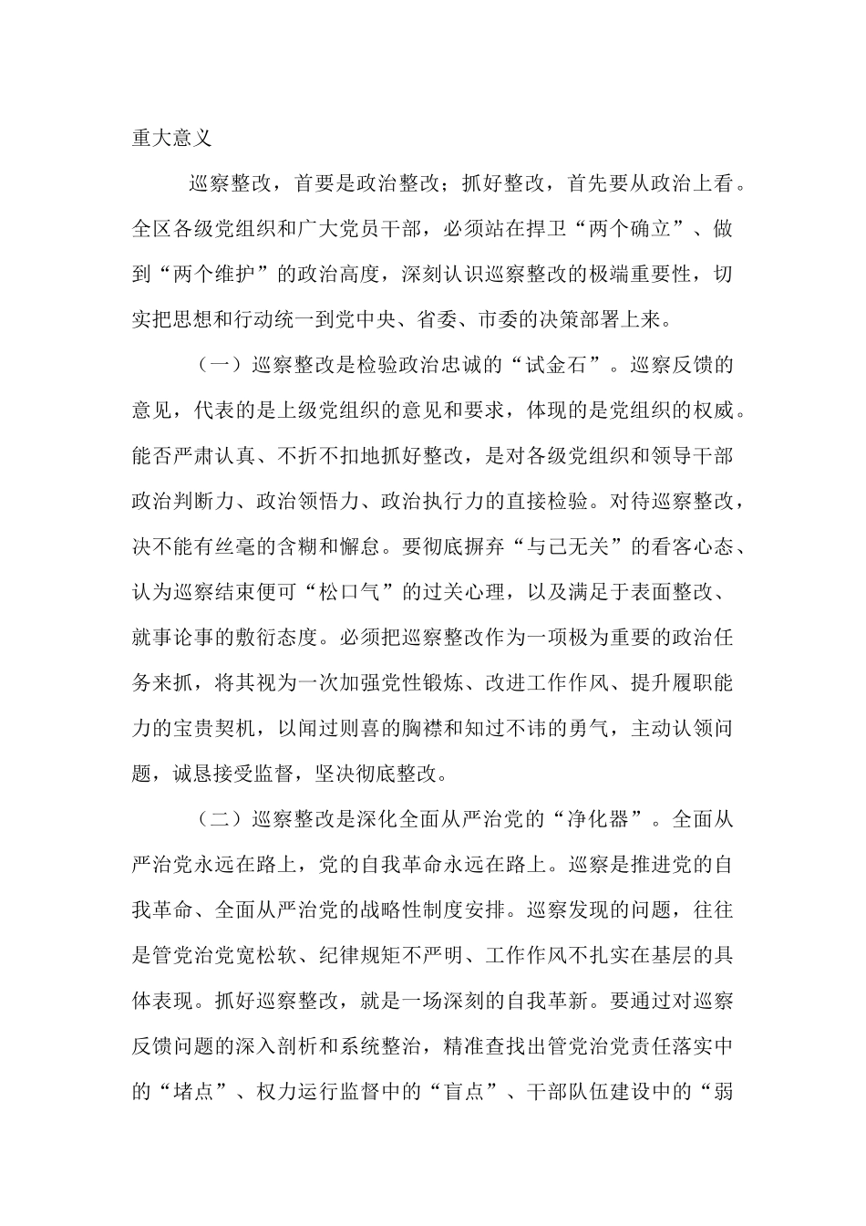 在2025年区党工委巡察整改工作推进会上的讲话.docx_第2页