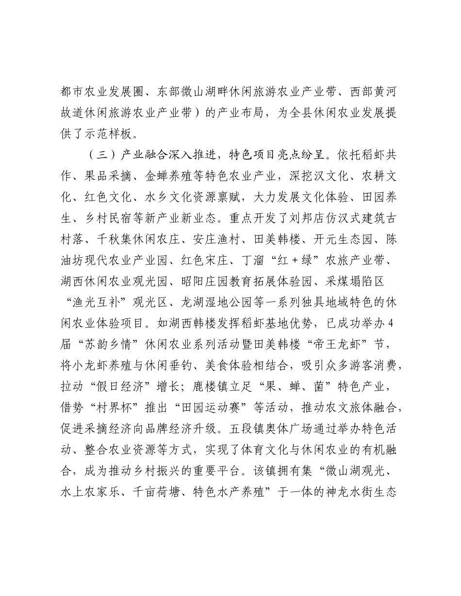 关于全县休闲农业发展情况的调研报告.docx_第3页