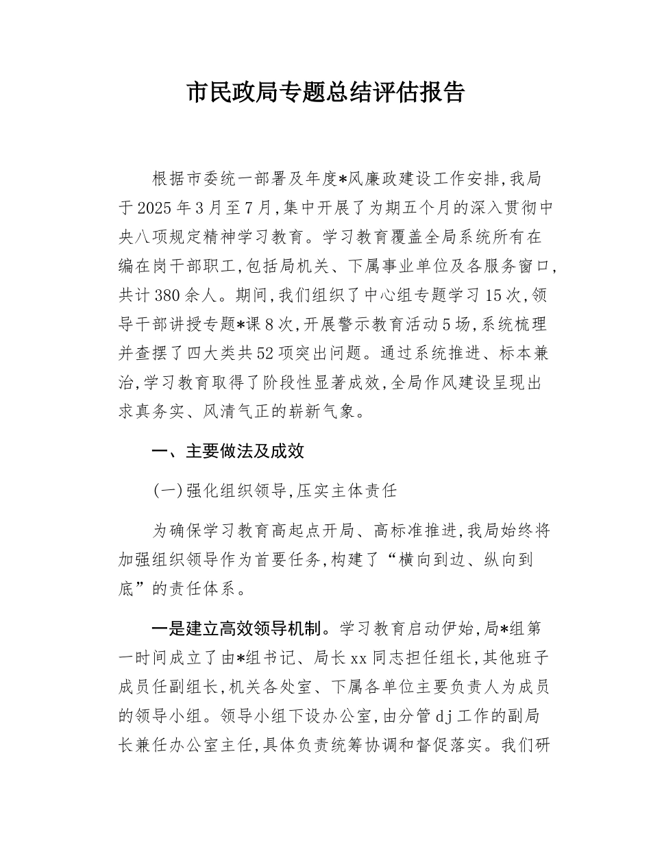 市民政局专题总结评估报告.docx_第1页