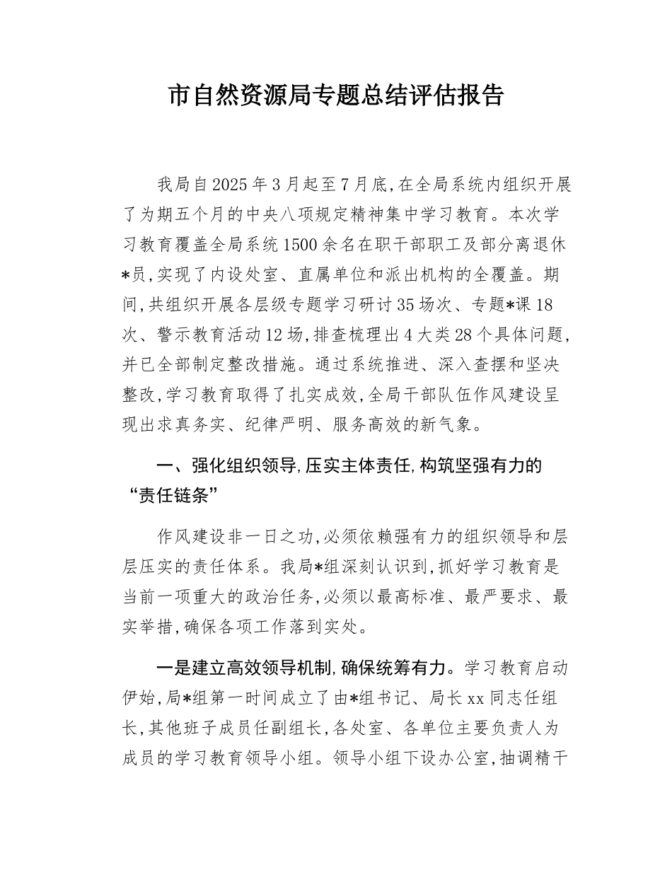 市自然资源局专题总结评估报告.docx_第1页