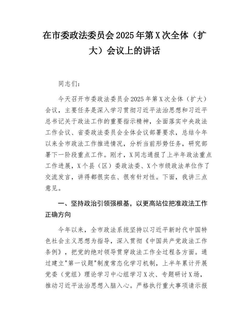 在市委政法委员会2025年第X次全体（扩大）会议上的讲话.doc_第1页