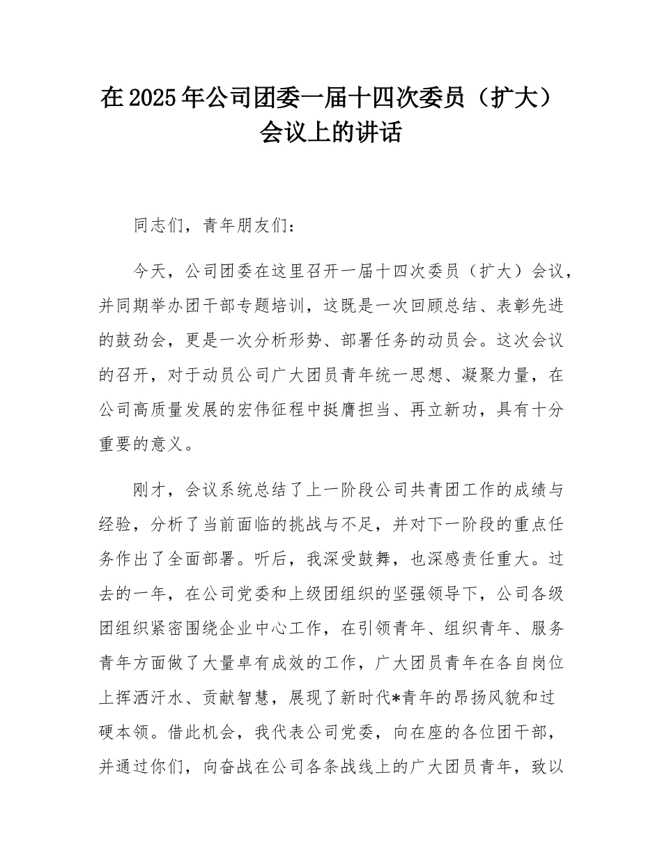 在2025年公司团委一届十四次委员（扩大）会议上的讲话.docx_第1页