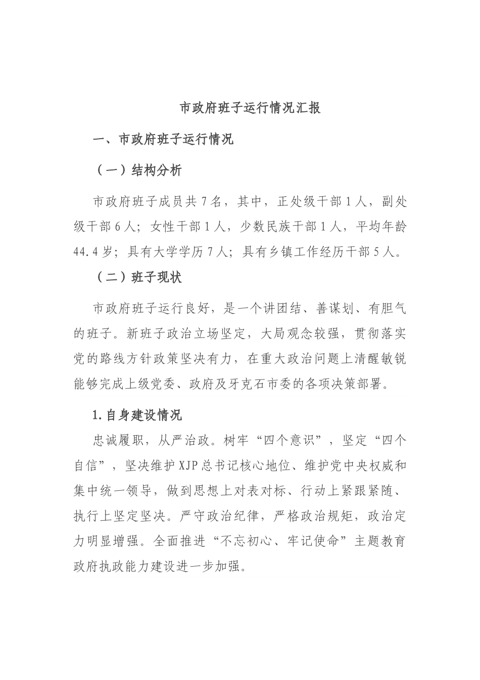 市政府班子运行情况汇报.docx_第1页