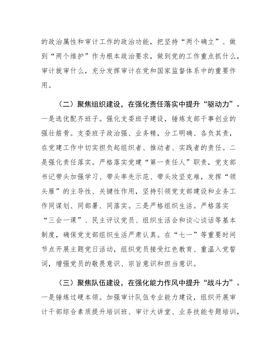 市审计局党支部2025年前三季度落实全面从严治党主体责任工作情况报告.docx_第2页