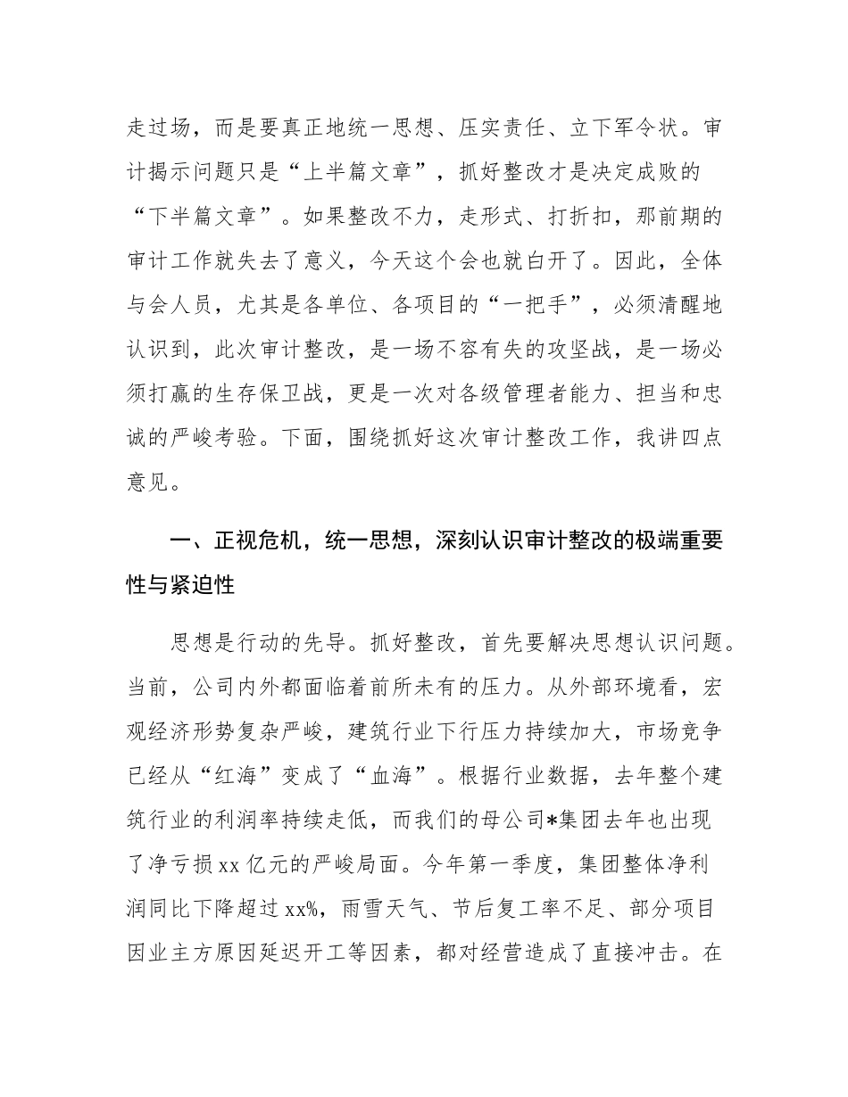 在2025年公司亏损项目审计整改动员会上的讲话.docx_第2页