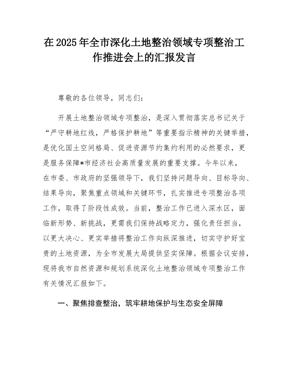 在2025年全市深化土地整治领域专项整治工作推进会上的汇报发言.docx_第1页