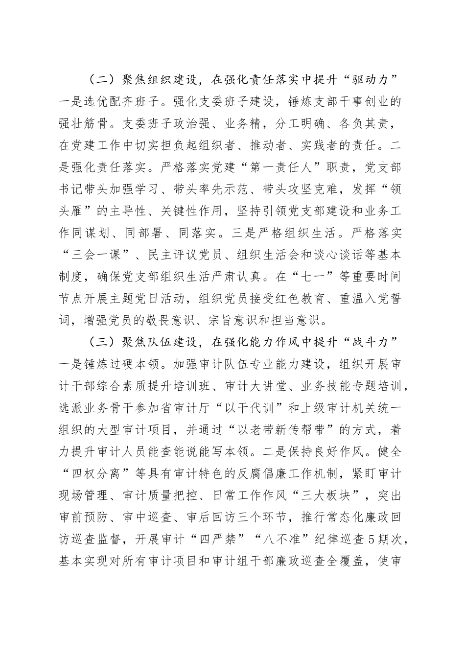 市审计局党支部2025年前三季度落实全面从严治党主体责任工作情况报告.docx_第2页