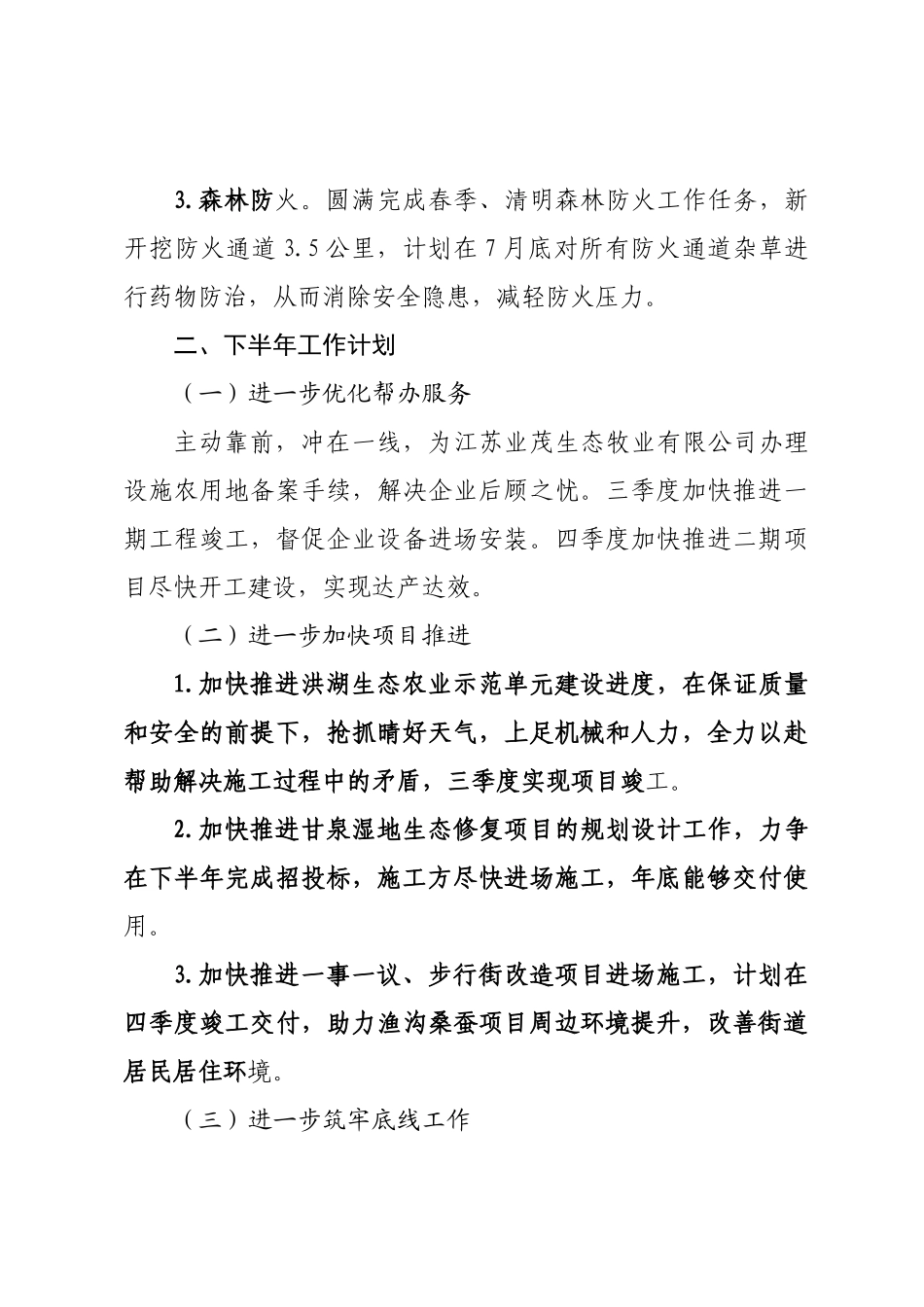 XX镇农村工作办公室2025年上半年工作总结及下半年工作计划.docx_第3页