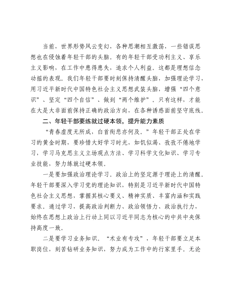 在2025年全县年轻干部座谈会上的讲话（2）.docx_第2页