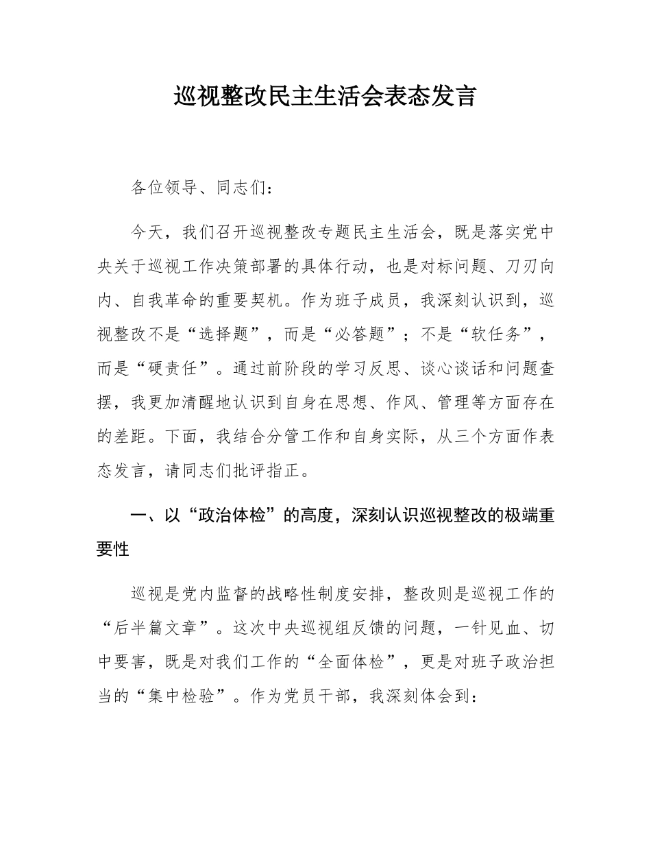 巡视整改民主SH会表态发言.docx_第1页