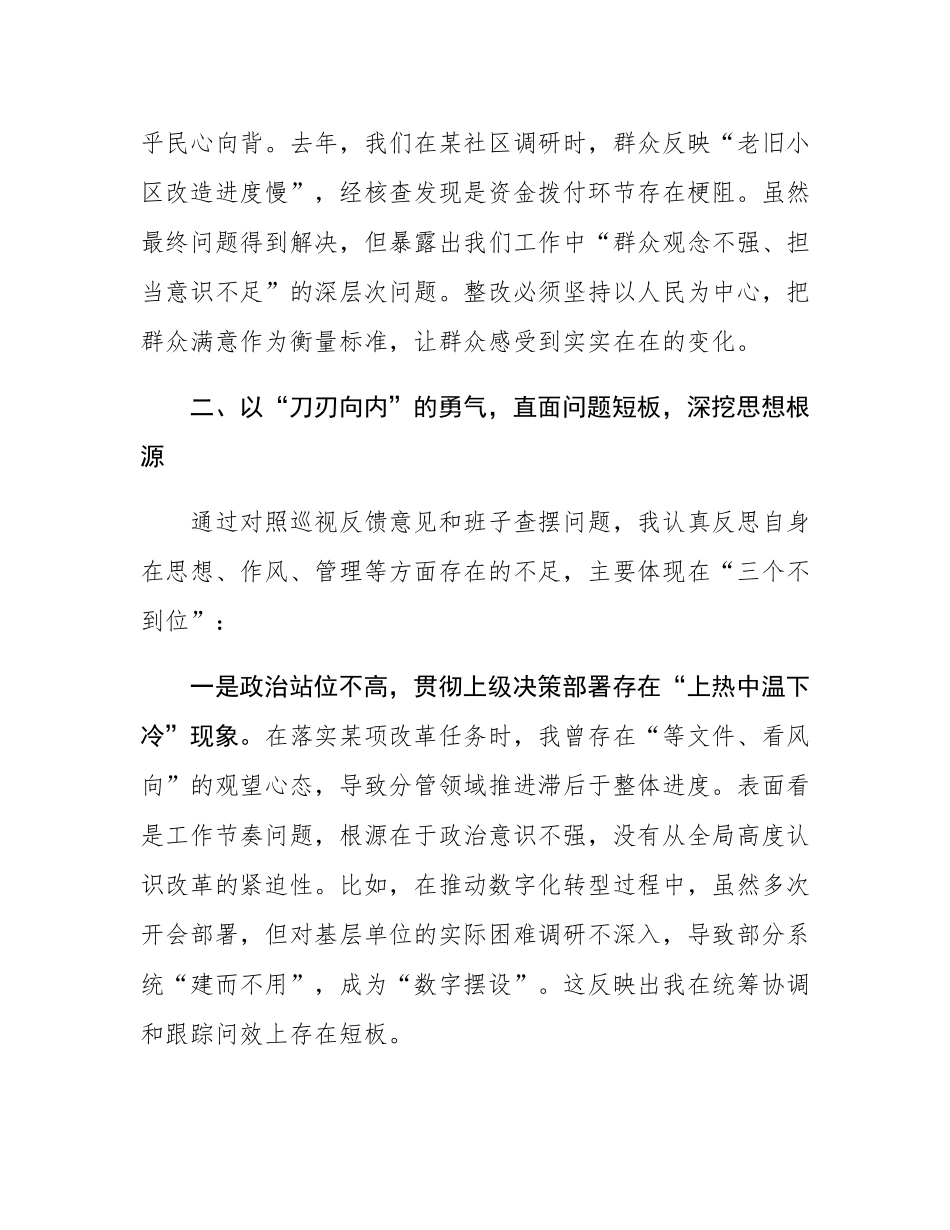 巡视整改民主SH会表态发言.docx_第3页