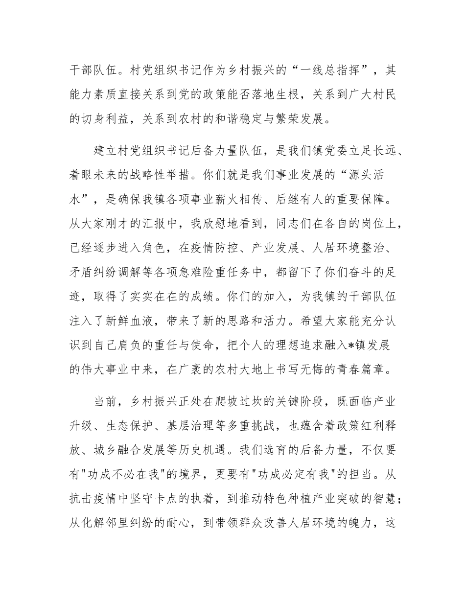 在2025年全镇村党组织书记后备力量工作汇报会议上的讲话.docx_第2页
