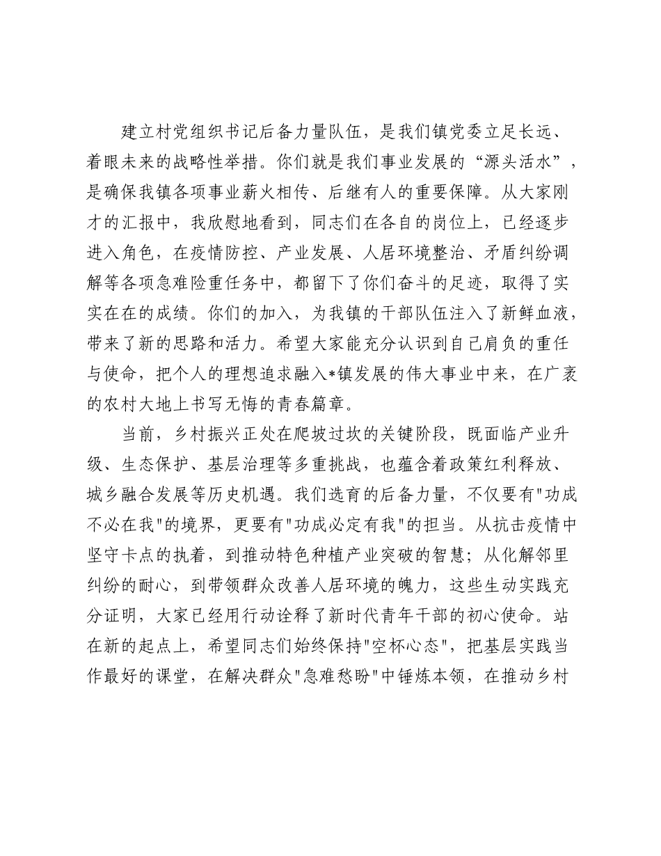 在2025年全镇村党组织书记后备力量工作汇报会议上的讲话.docx_第2页