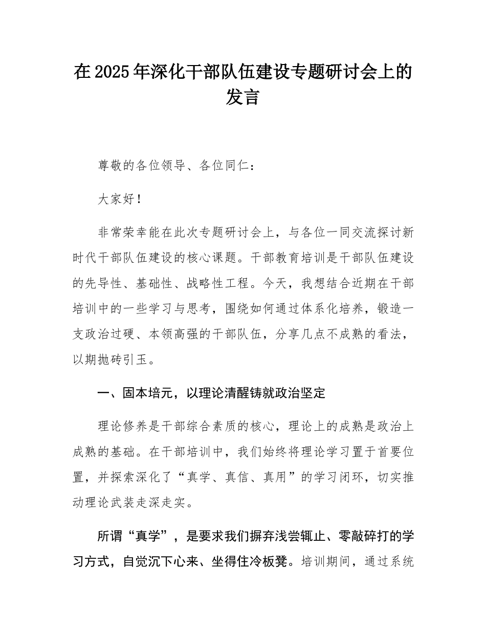 在2025年深化干部队伍建设专题研讨会上的发言.docx_第1页