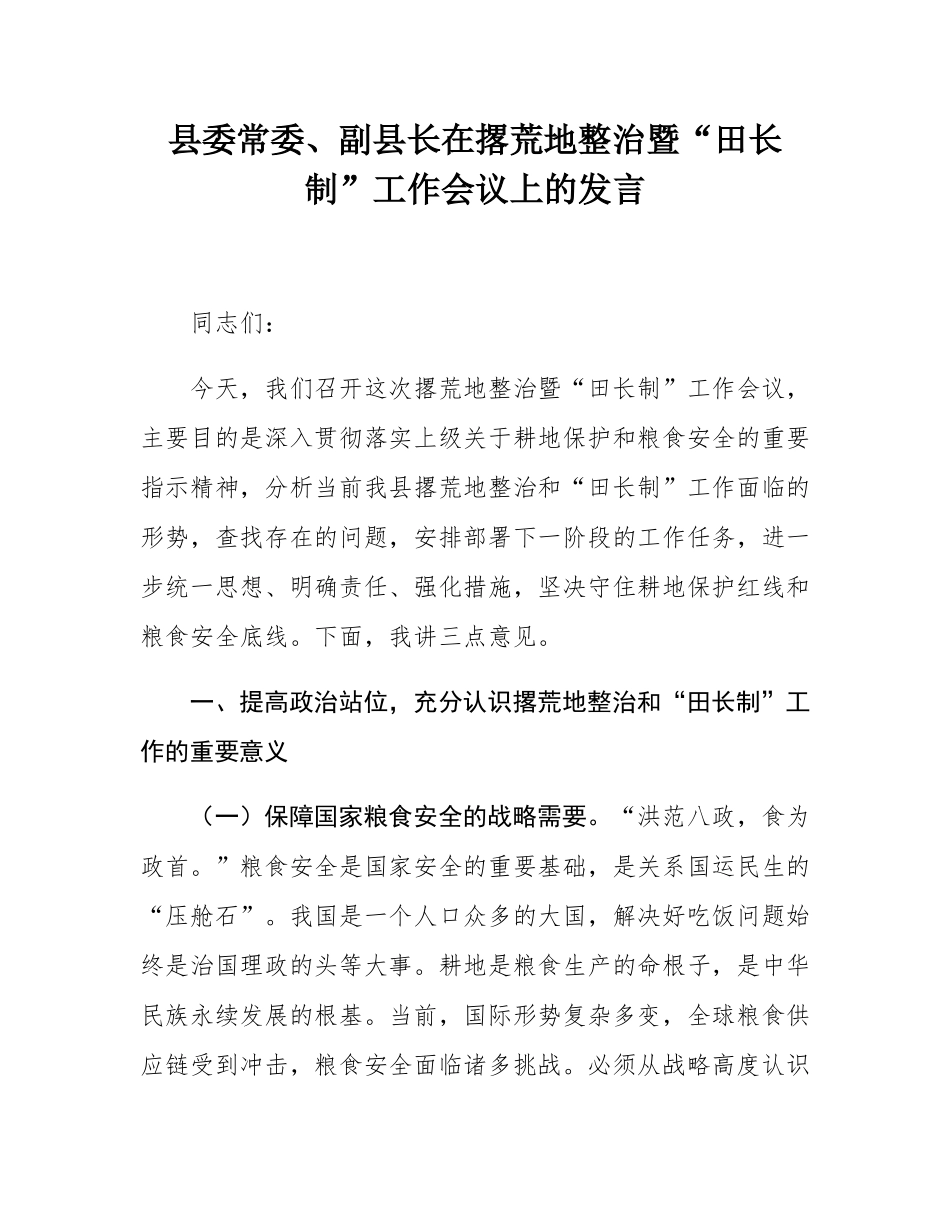县委常委、副县长在撂荒地整治暨“田长制”工作会议上的发言.docx_第1页