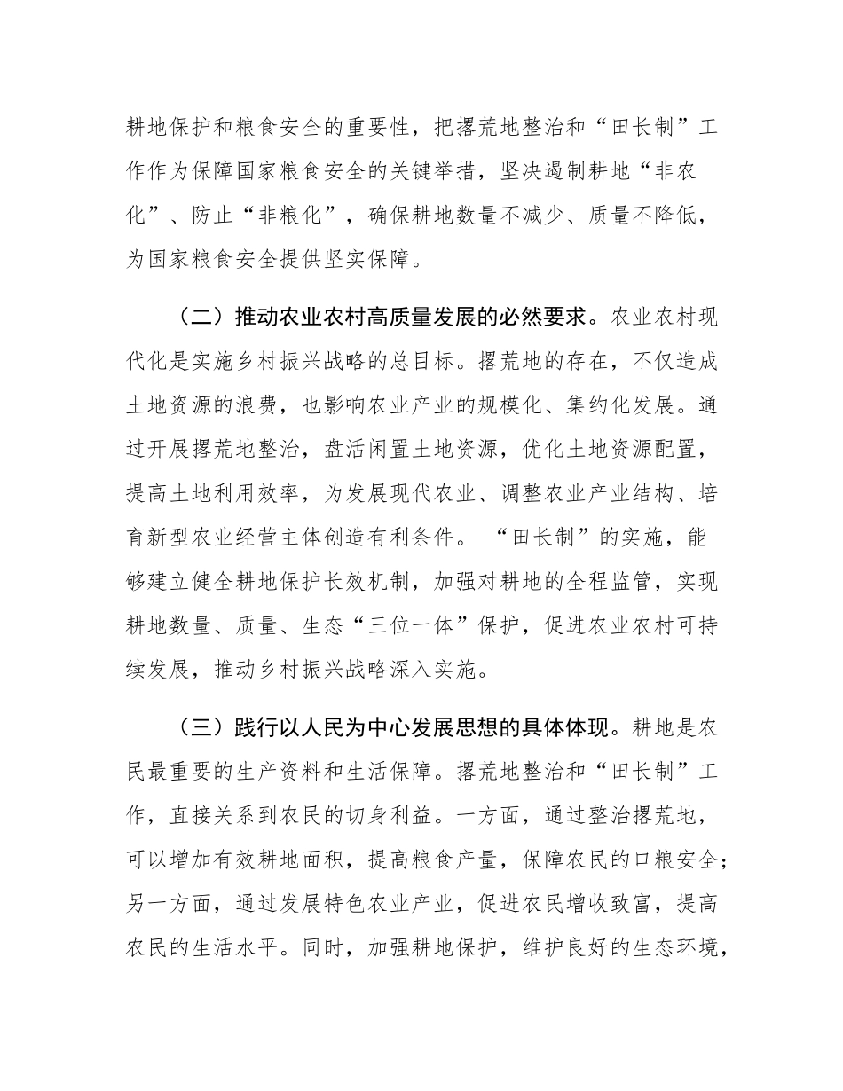 县委常委、副县长在撂荒地整治暨“田长制”工作会议上的发言.docx_第2页